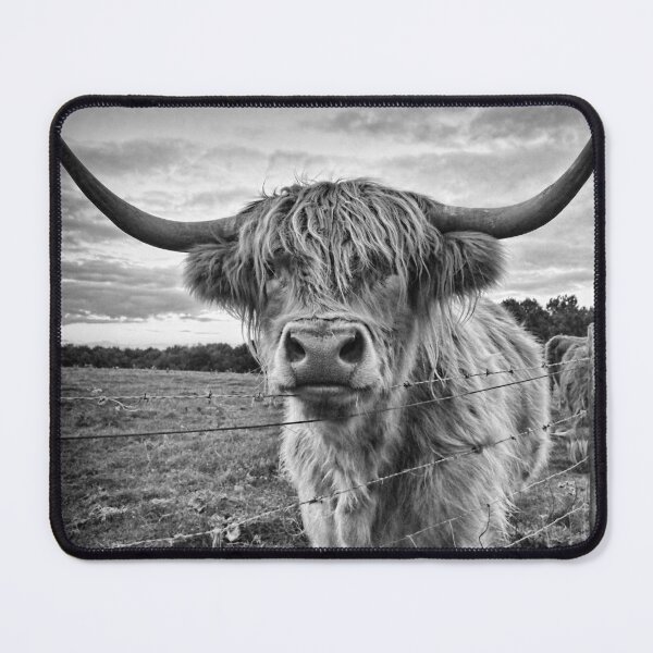 Item preview, Scottish Highland Cow designed and sold by Braw-Merch.