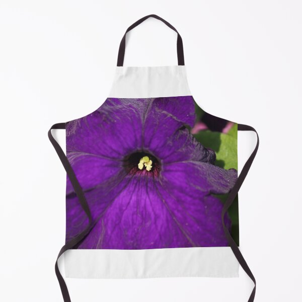 Artikelvorschau, Petunia Purple entworfen und verkauft von Mdillon.