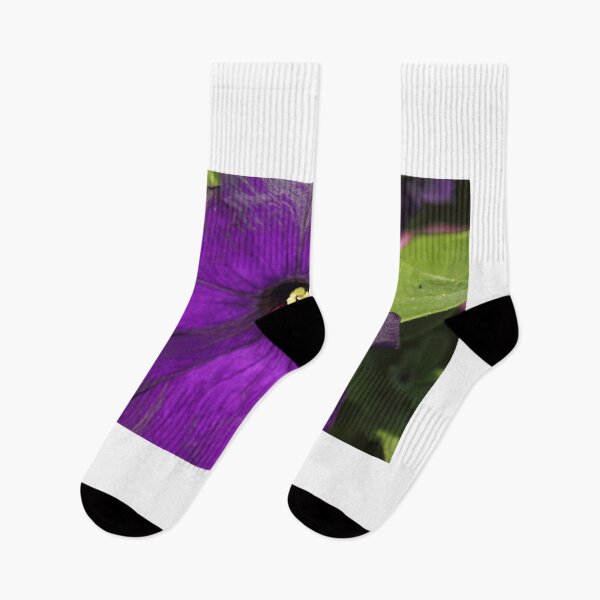 Artikelvorschau, Petunia Purple entworfen und verkauft von Mdillon.