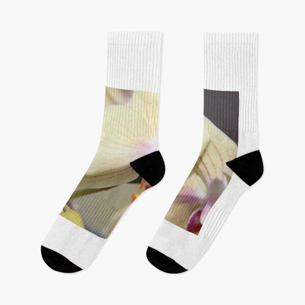 Artikelvorschau, Orchid Yellow entworfen und verkauft von Mdillon.