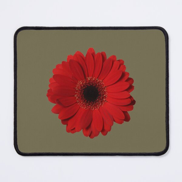 Item preview, Red Gerbera designed and sold by STHogan.