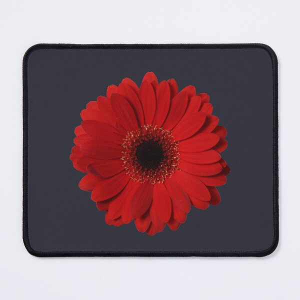 Item preview, Red Gerbera designed and sold by STHogan.