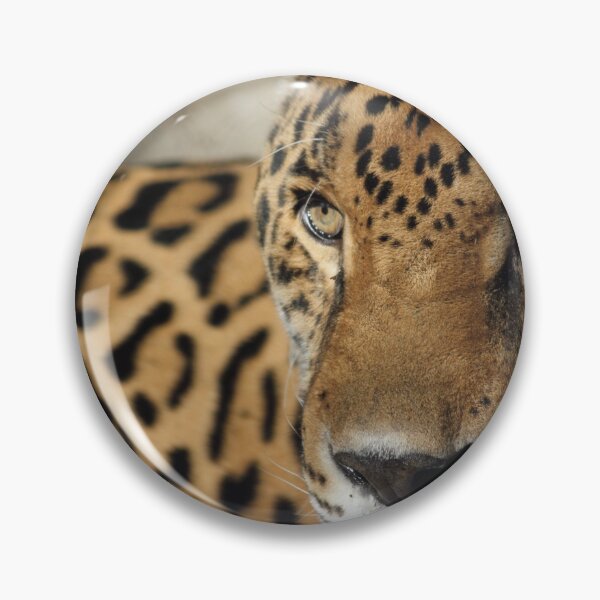 Aperçu de l'œuvre Jaguar créée et vendue par Mdillon.