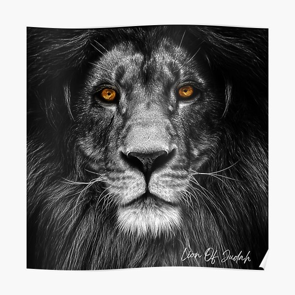 Lion Quotes Wall Art For Sale Redbubble