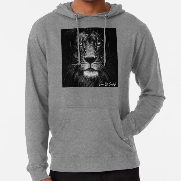ABGABG The Lion of Judah 3D Print Men Women Breathable Workout Interesting Hip Hop Pullover Splice Hoodie Sweater 