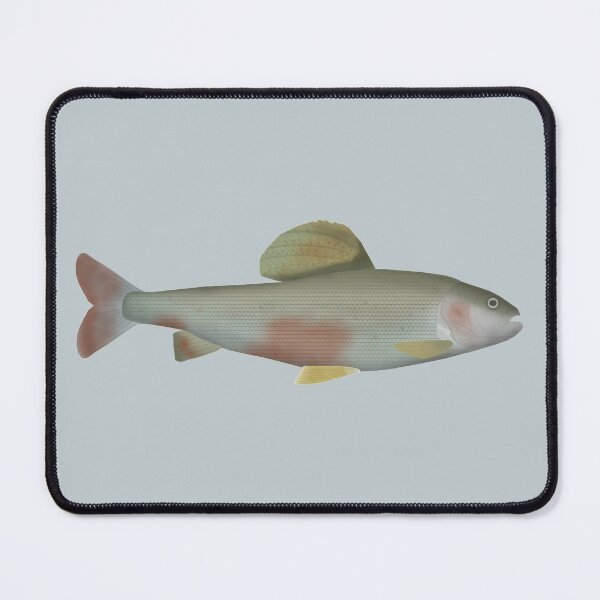 Item preview, Mongolian Grayling designed and sold by fishfolkart.
