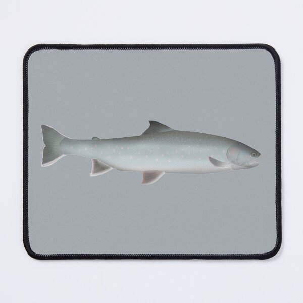 Item preview, White Char designed and sold by fishfolkart.