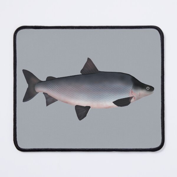 Item preview, Humpback Whitefish designed and sold by fishfolkart.