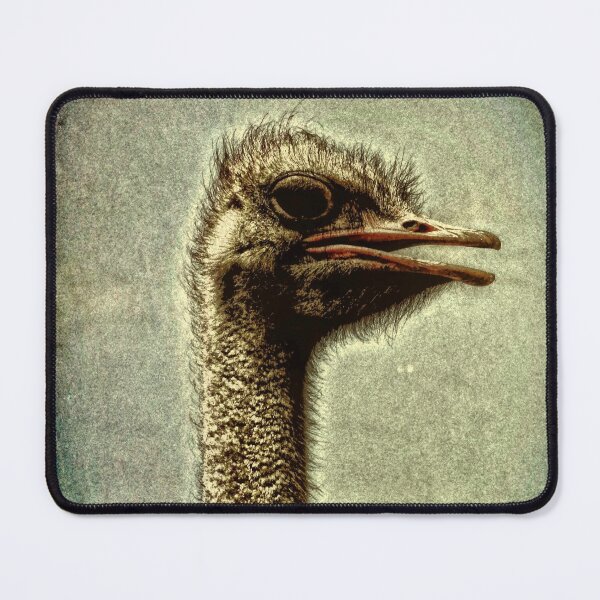 Item preview, Ostrich Emu designed and sold by Aenota.