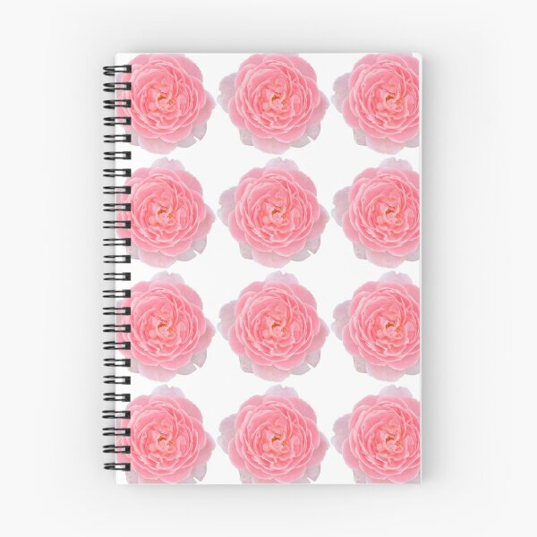 Item preview, Pink Rose Flower Still Life Floral Photography designed and sold by CottoVerdi.