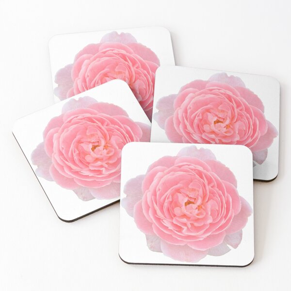 Item preview, Pink Rose Flower Still Life Floral Photography designed and sold by CottoVerdi.
