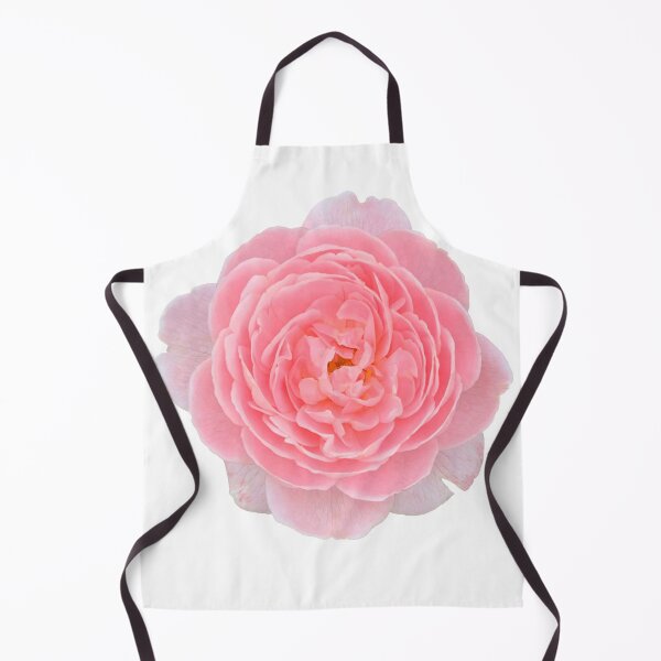 Item preview, Pink Rose Flower Still Life Floral Photography designed and sold by CottoVerdi.