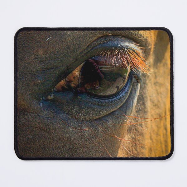 Item preview, Gelding designed and sold by Photos-by-Loche.