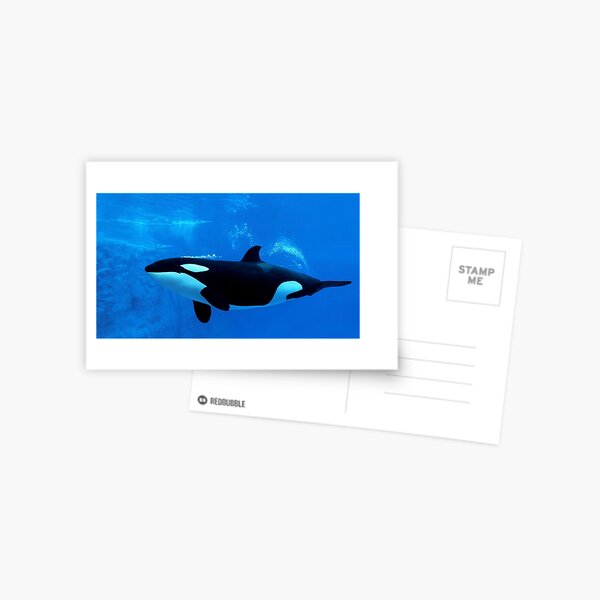 Item preview,  Panoramic,widescreen prints, Tapestries,Tapestry,throw blanket,whale wall art,whale art, ocean, sea, blue, fish,whale  designed and sold by eyesight4vision.