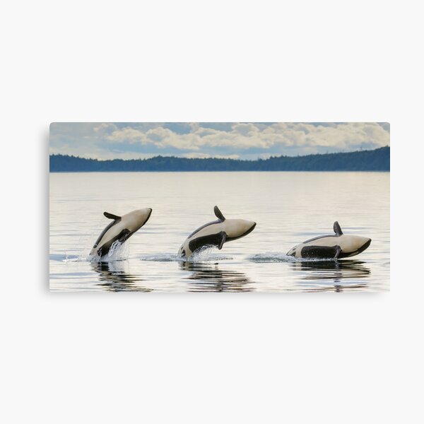 Item preview,   Panoramic,widescreen prints, Tapestries,Tapestry,throw blanket,whale wall art,whale art, ocean, sea, blue, fish,whale  designed and sold by eyesight4vision.