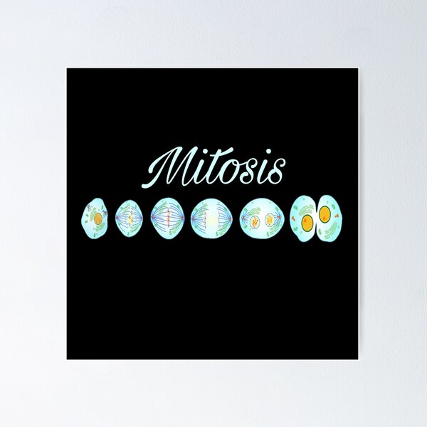 Item preview, Mitosis  designed and sold by Nedskr.