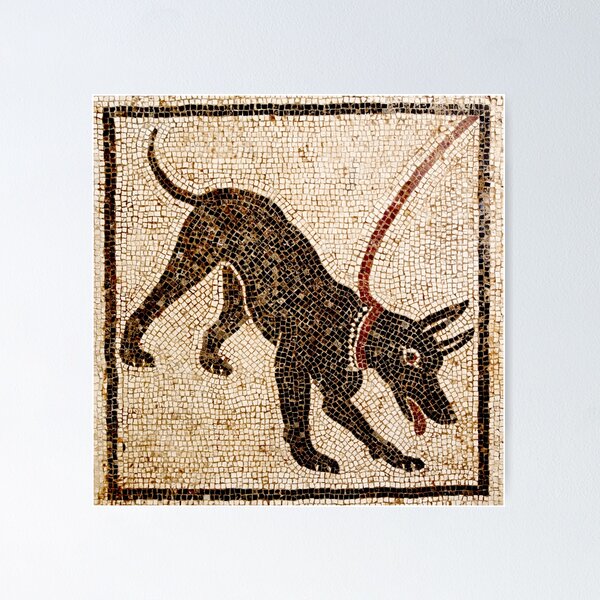 Item preview, Cave Canem designed and sold by DotorEaon.
