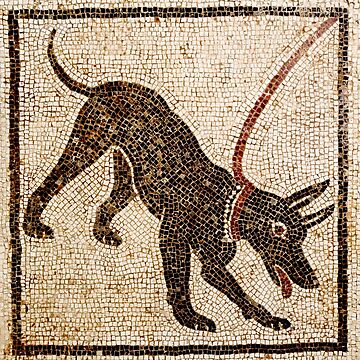 Artwork thumbnail, Cave Canem by DotorEaon