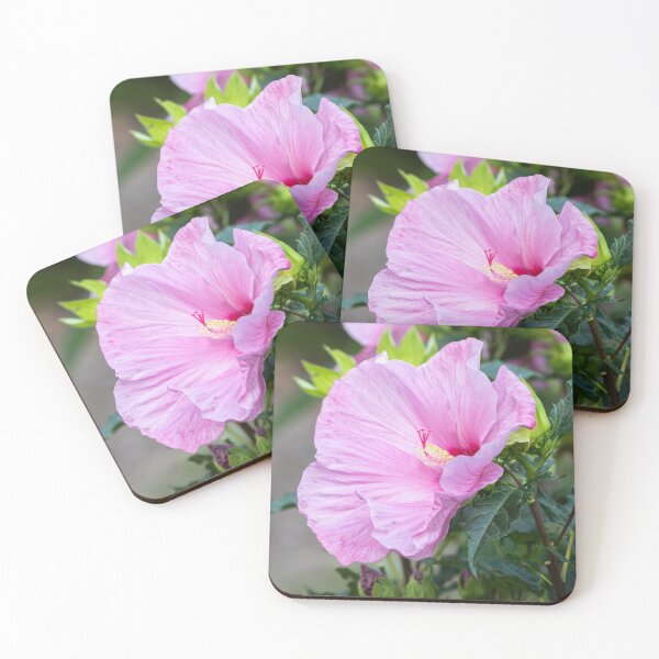 Item preview, Pink Hibiscus 1-2021 designed and sold by Thomasyoung.