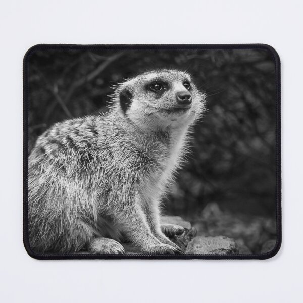 Item preview, Not a Meer Cat designed and sold by AGDimages.