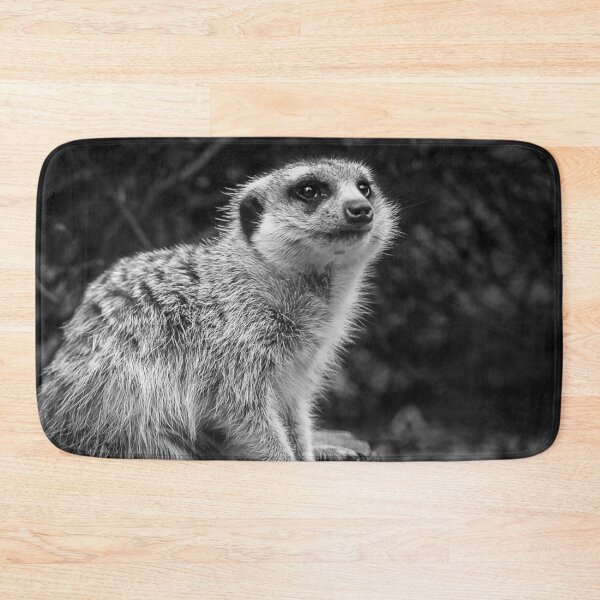 Item preview, Not a Meer Cat designed and sold by AGDimages.