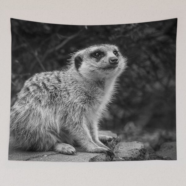 Item preview, Not a Meer Cat designed and sold by AGDimages.