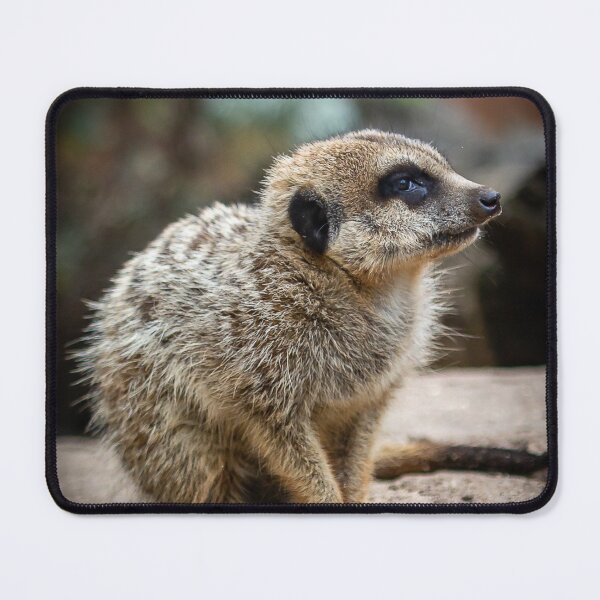 Item preview, So Lonely designed and sold by AGDimages.