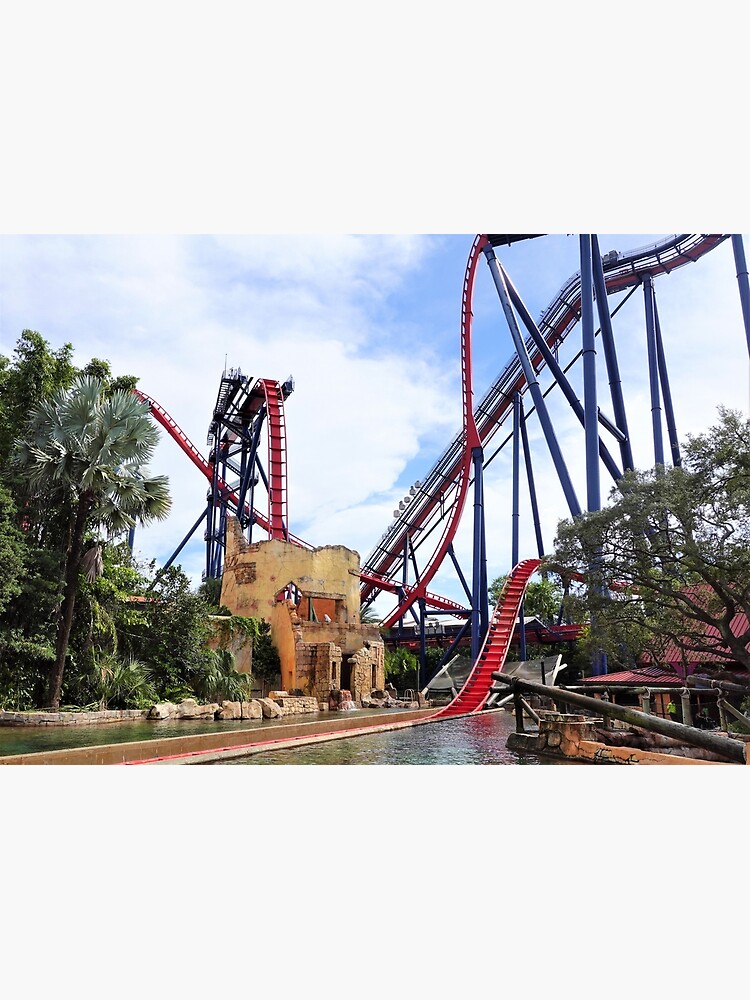 SheiKra Pin, Busch Gardens Tampa Bay