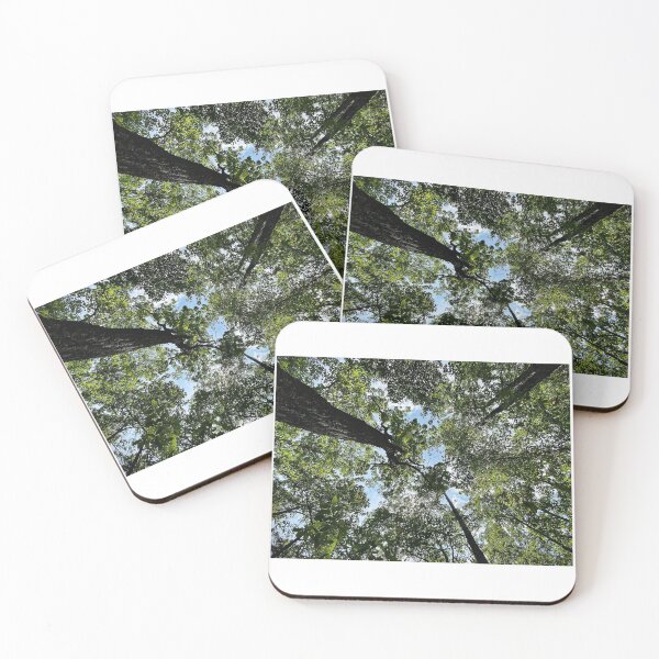 Item preview, Trees designed and sold by Matthew Carroll.