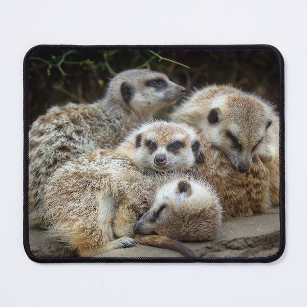 Item preview, Meerkat Snugglezzz designed and sold by AGDimages.