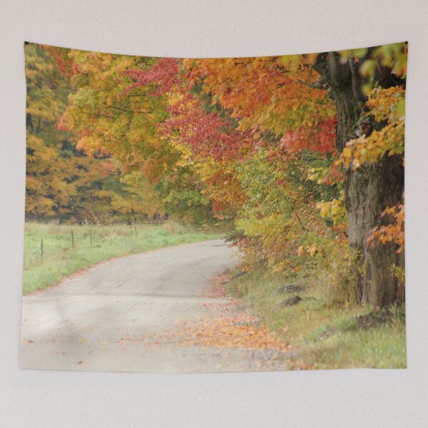 Item preview, Starburst Foliage designed and sold by Autumn Seas Photography.