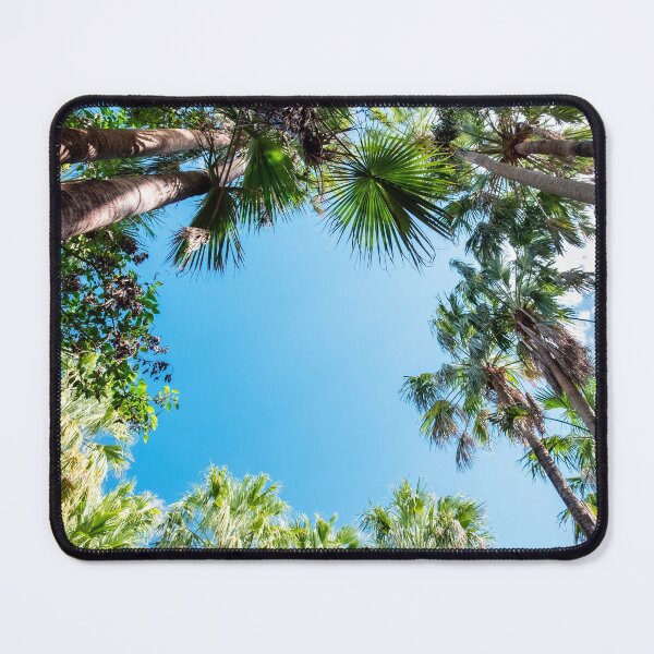 Item preview, Reaching to the Sky Matarana Northern Territory Australia designed and sold by Catherine Reading.