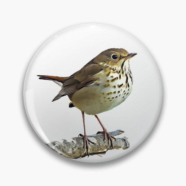 Item preview, Hermit Thrush designed and sold by KxNation.