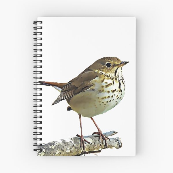 Item preview, Hermit Thrush designed and sold by KxNation.