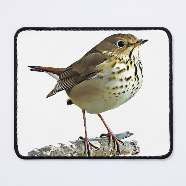 Item preview, Hermit Thrush designed and sold by KxNation.