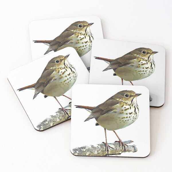 Item preview, Hermit Thrush designed and sold by KxNation.
