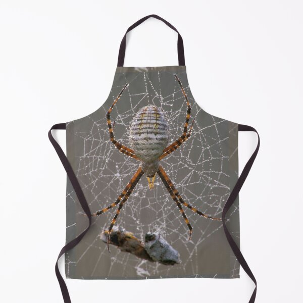 Item preview, Dewy Banded Garden Spider designed and sold by Bill Spengler's Photographic Thoughts.