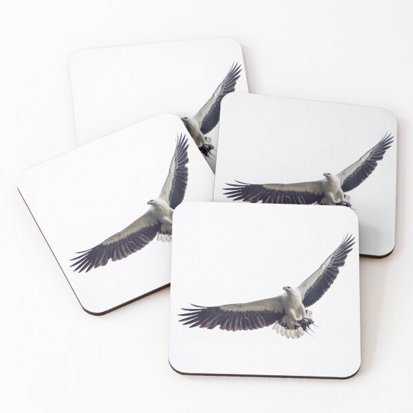 Item preview, White-bellied Sea-eagle designed and sold by AvianImagery.