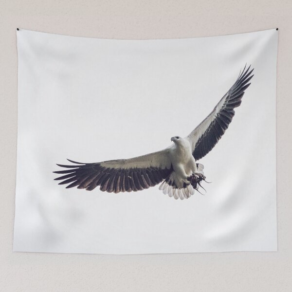 Item preview, White-bellied Sea-eagle designed and sold by AvianImagery.