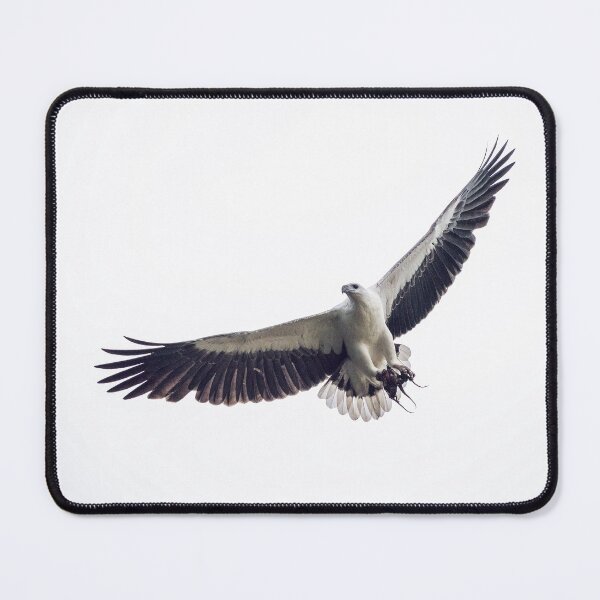 Item preview, White-bellied Sea-eagle designed and sold by AvianImagery.