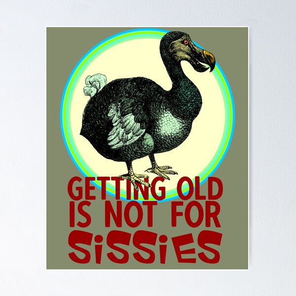 Getting Old Ain T For Sissies Poster "Getting Old is Not for Sissies" Poster for Sale by sandpiperstudio
