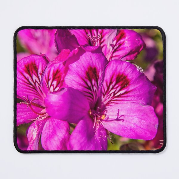 Item preview, "Backyard Flowers" Image by Rich AMeN Gill designed and sold by RichAMeNGill.