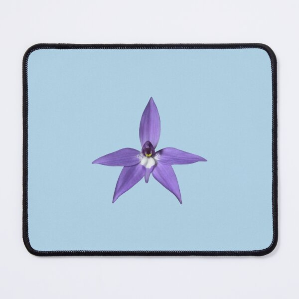 Item preview, Orchid flower on light blue designed and sold by quentinjlang.