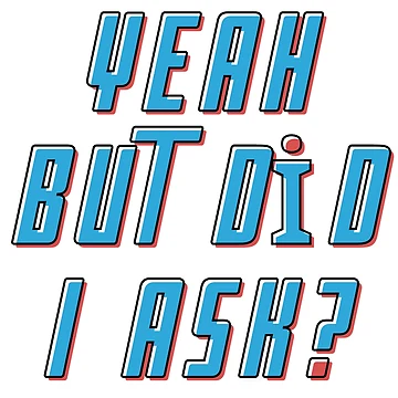 Artwork thumbnail, Yeah But Did I Ask by Rulaly