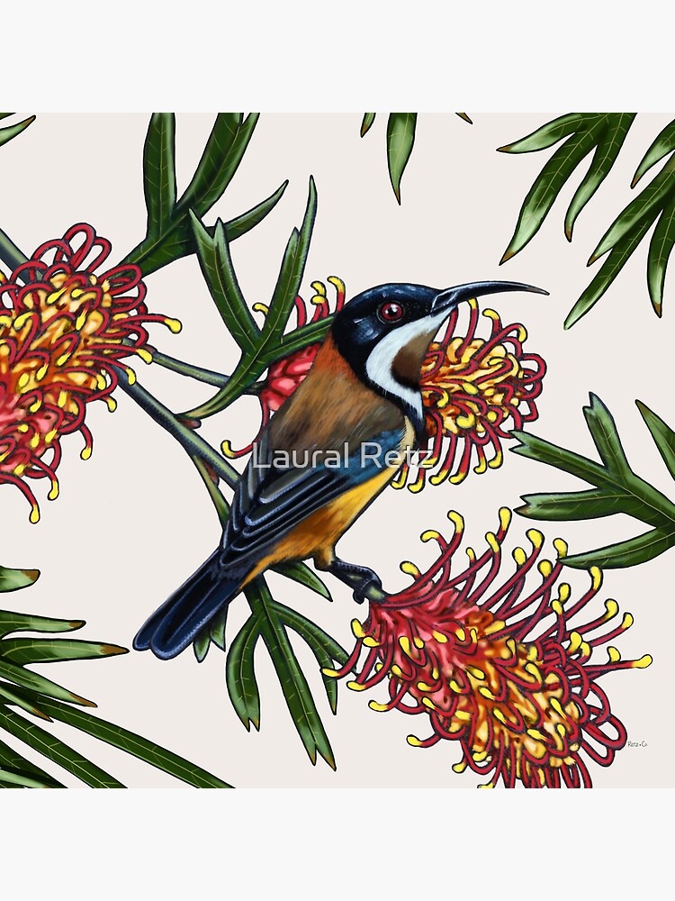 Thumbnail 4 of 4, Pillow, Eastern Spinebill in Grevillea #2 by Australian artist Laural Retz designed and sold by lauralretz.