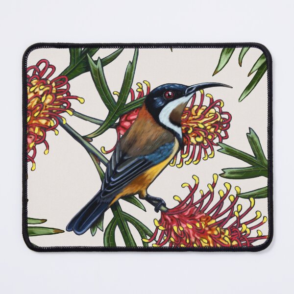 Item preview, Eastern Spinebill in Grevillea #2 by Australian artist Laural Retz designed and sold by Laural Retz.