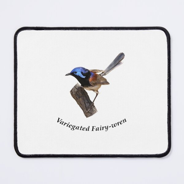 Item preview, Variegated Fairy-wren 3 designed and sold by quentinjlang.