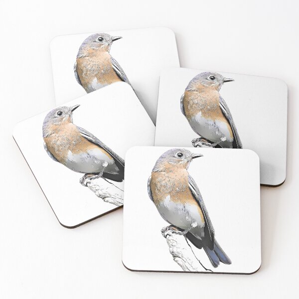 Item preview, Eastern Bluebird Female designed and sold by KxNation.