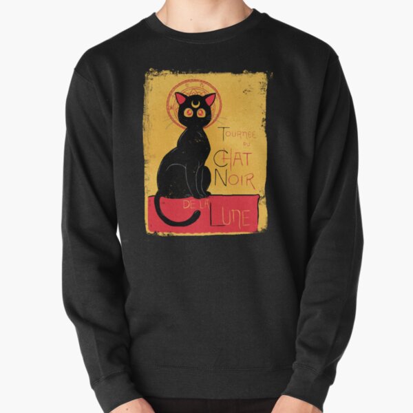 cat noir hoodie with ears