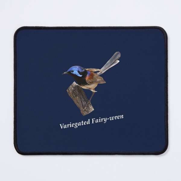 Item preview, Variegated Fairy-wren 6 designed and sold by quentinjlang.
